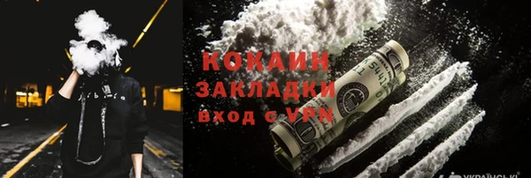 трава Корсаков