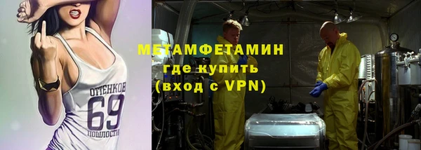 трава Корсаков
