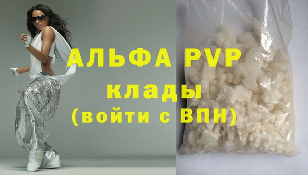 трава Корсаков