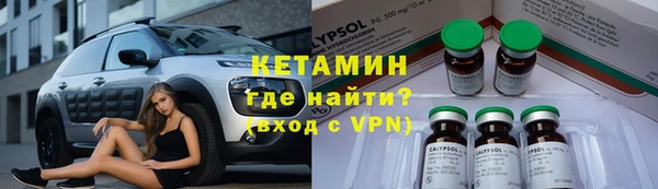 трава Корсаков