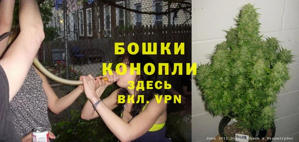 трава Корсаков