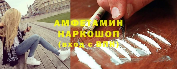 трава Корсаков